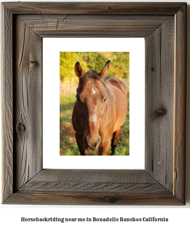 horseback riding near me in Bonadelle Ranchos, California